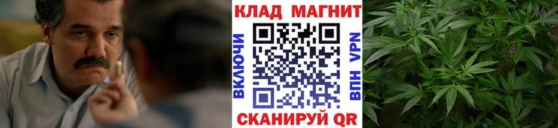 МЕФ Новочеркасск
